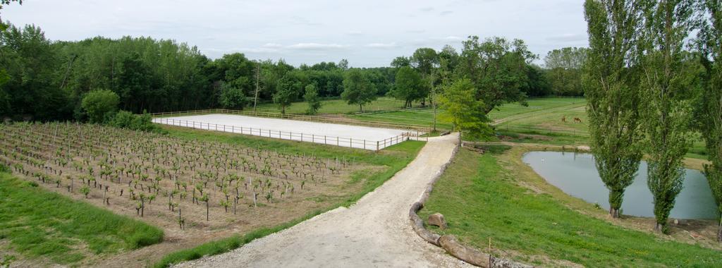 Chateau Beau-Site Portets Bagian luar foto