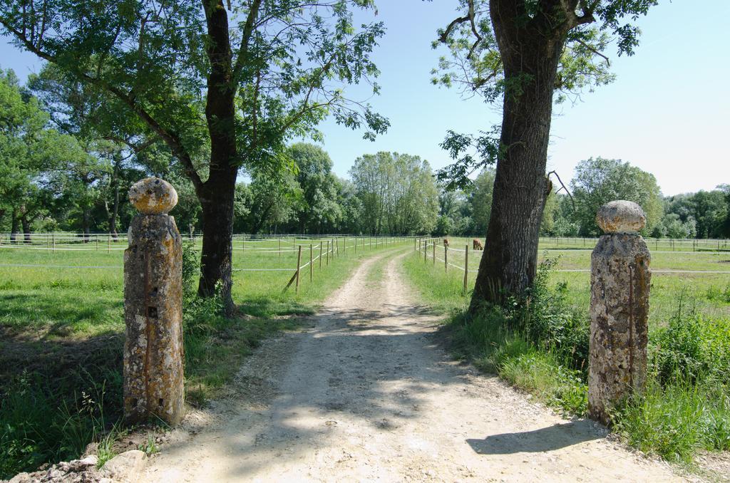Chateau Beau-Site Portets Bagian luar foto