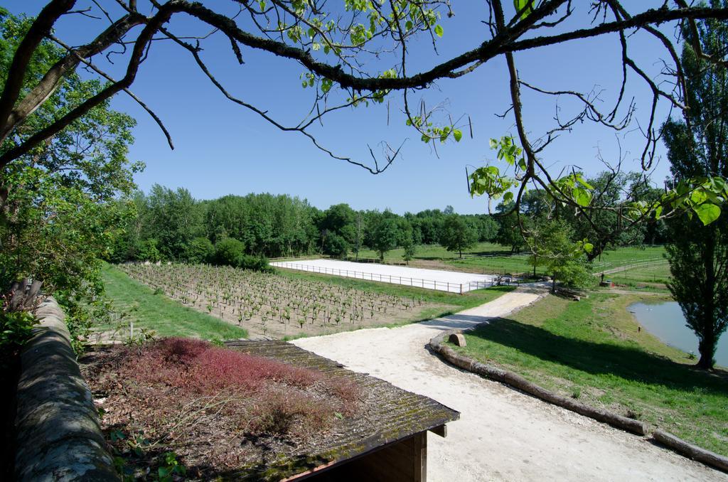 Chateau Beau-Site Portets Bagian luar foto
