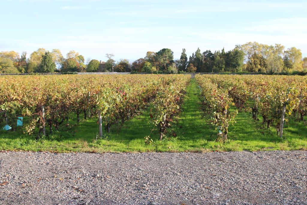 Chateau Beau-Site Portets Bagian luar foto